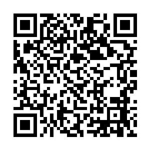 在螳螂之翼的推动下如同闪电一般朝着楚寒激射而去二维码生成