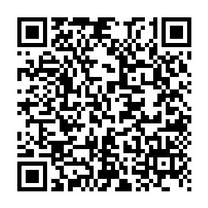 在被动叠满双召齐全的情况下你会怕一个什么都没有了的乐芙兰吗二维码生成