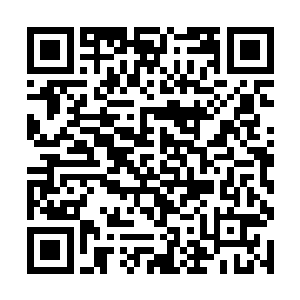 在见识到杨开的蛮力之后他便已传讯诸多长老和宗主二维码生成