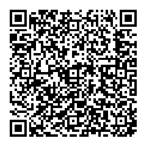 在讨论到下午茶时候偏离了原本主题自己享用起下午茶的三人一猫就着和煦的阳光在开满玫瑰的庭院里吃起了美味的点心二维码生成