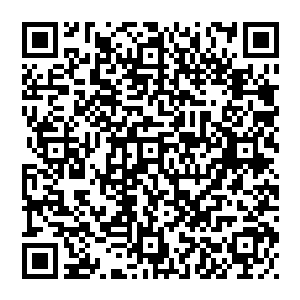 在议会大楼附近依旧留下了一小撮的凡人继续摸不着头脑的盯着司空家那如小白兔般怯弱站在街边发呆的小矮砸二维码生成