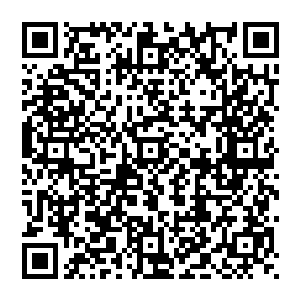 在许多玩家眼中已然走下神坛的微笑才能切切实实地感觉到整个世界都只剩下了自己和自己的队友二维码生成