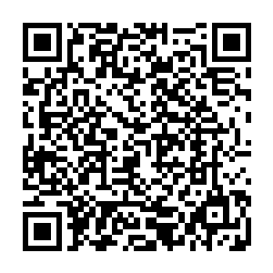 在许德拉连续的拍打还有最后的重击之下霍海浑身的骨头已经完全粉碎了二维码生成