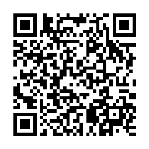 在诊疗台平整的台子上留下一个个仿如切刀尖戳豆腐一样的伤痕二维码生成
