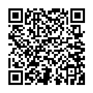 在试炼之路在万化学宫这种动辄便是以数百年为单位的世界中二维码生成