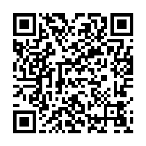 在走廊外的潘永校长等诸多学校领导自然也都不能离开二维码生成