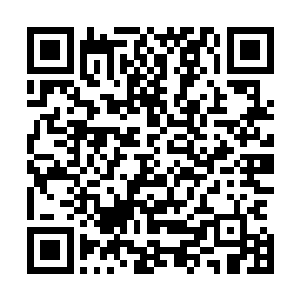 在赵虎的拳头和上古巨猿的拳头撞击到一起的时候骤然爆发二维码生成