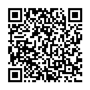 在超过三百名人群的冲击之下不顾一切护住了小粉丝的安全二维码生成