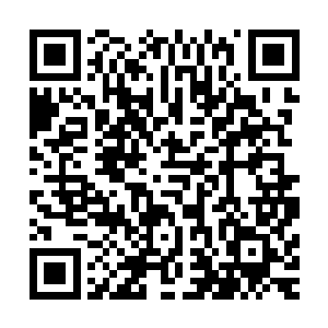 在路过的地方都能看到正在战斗或者已经战斗完后留下的痕迹二维码生成