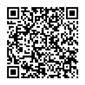 在身为帝王的墨景祁眼里墨修尧和墨景黎根本从来就不是一个级别的对手二维码生成