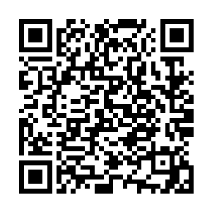 在过去两周时间里依旧深深地影响着人们生活的每一个部分二维码生成