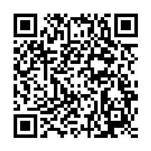 在这一刻龙傲天终于发动了五行幻灭大阵的终极攻击五行合一二维码生成