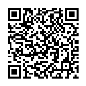 在这一枚枚生有丹纹的离火丹面前是如此的幼稚可笑二维码生成