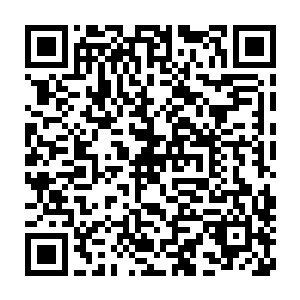 在这一瞬间竟是被天狼在上面深深的刻画出来了一道十分凄厉的伤痕二维码生成