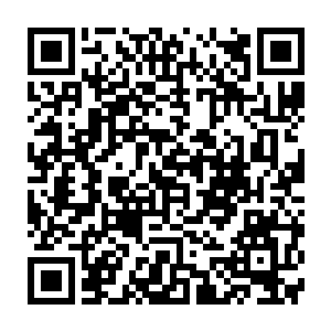 在这个多灾多难的时刻他们打算抓住任何一个有可能提高自己对抗能力的机会二维码生成