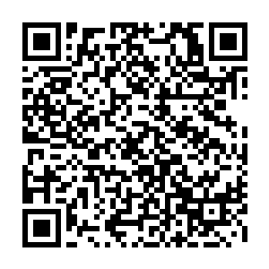 在这个山谷里经过了大半年的各式各样他们从前连听都没有听说过的训练二维码生成