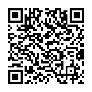 在这个时候娘娘若是发怒岂不是明目张胆的和皇上顶上了二维码生成