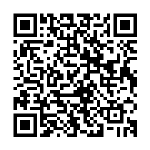 在这个问题上陆为民都是给予了林业局环保局以坚定不移的支持二维码生成