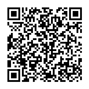 在这之前禽皇等人就已经融合了一块由楚旬从青丘带回的妖皇残骸二维码生成
