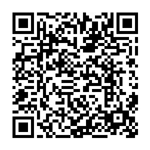 在这宫殿之中又转了几圈发现这宫殿与其他的宫殿相比并没有什么不同二维码生成