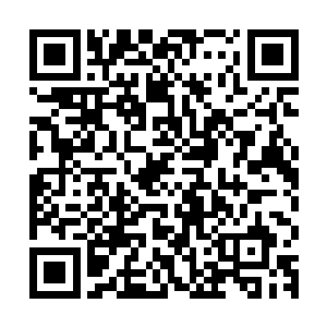 在这并不宽敞的小房间里还有好几位与她一样的美女们正在化妆二维码生成