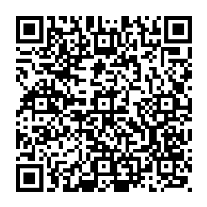 在这无尽的尸骨中寻找着符合他要求的异兽内丹……他主要是找寻那些毒兽的内丹二维码生成