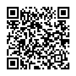 在这次的太仙御法抵消我的攻击而失去力量消失的时候二维码生成