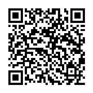 在这种药田上面种植的药材不单单是生长的速度要快了不少二维码生成