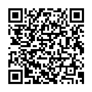 在这过程中又根据双头裂体回报的信息确定下来具体的突围地点二维码生成