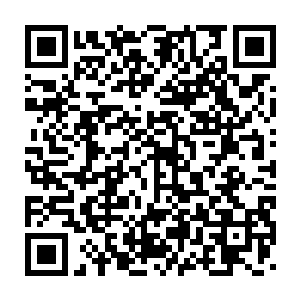 在这里介绍一下为了我们这台青春歌舞剧付出了心血与汗水的人们二维码生成