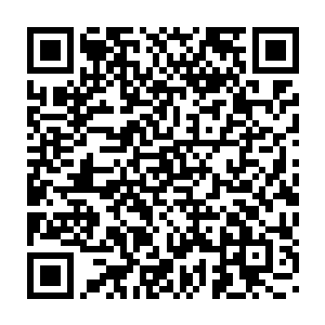 在这里他们再次头疼不是以前欧洲跨两步就换一个国家的方便地界儿二维码生成
