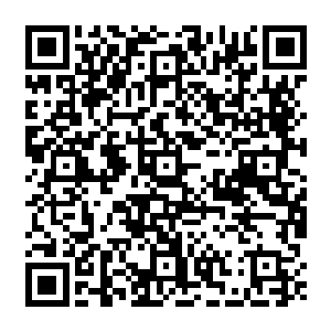 在这里有着无数的绿莹莹的充满了生命力的仿佛萤火虫一般的浮游生物在周围飘荡着二维码生成