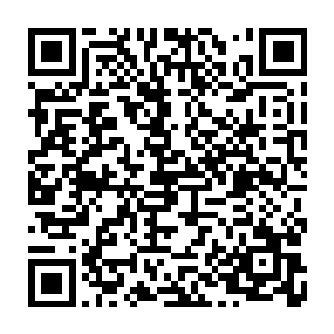 在那一缕缕草木香气出现的时候锦玉和墨梓熏就脸色一变急忙飞出破魔楼二维码生成