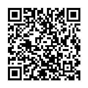 在那个雨族天尊的体表就生成了无数密密麻麻的细小黑色漩涡二维码生成