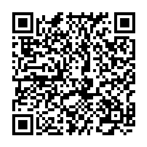 在那几位大人物的眼中恐怕只有成长到他们一样高度的才能够引起他们的重视二维码生成