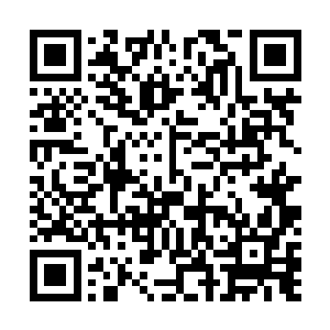 在那小修罗要掉落在地上的的时候伸出手抱住了那小修罗二维码生成