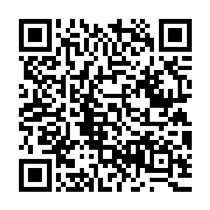 在那片天地等你……等我……父亲和母亲他们要等我去拯救他们二维码生成