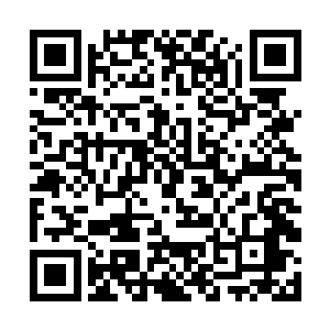 在那片密林之中他的伙伴方炎表现的远远要比他优秀二维码生成