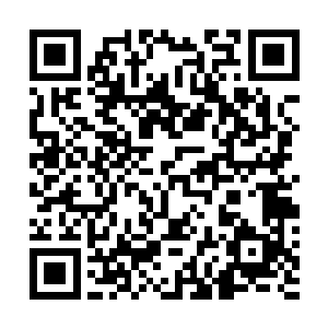 在陈凌的带领下他们简直就成了制造恐怖的活生生的机器二维码生成