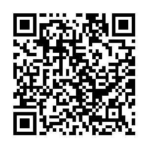 在飞掠的过程中完全不担心自己的前面是否会遇到什么危险二维码生成