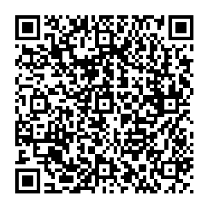 在飞机上只来得及匆匆洗了一把脸的三位姑娘就惊讶的看见两部崭新的日本车在海关出口外等着他们二维码生成