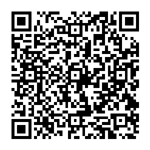 在飞机上杨晨就从张冰玉提供的一些资料当中简单了解了一下龙辉制药集团的情况二维码生成