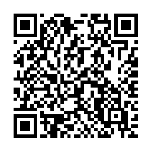 在首映式上的挑衅行为立刻成为了各大媒体转移目标的替罪羔羊二维码生成