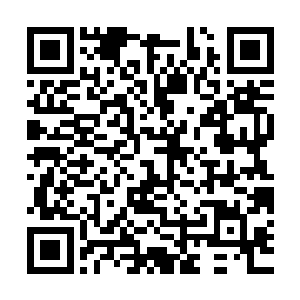 在黑白光点不断推衍变化的洛书主持下结成了小一号的此地禁法二维码生成