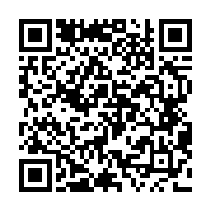 在黑风舰队残兵中似乎流传着这样一种说法――螳螂捕蝉二维码生成