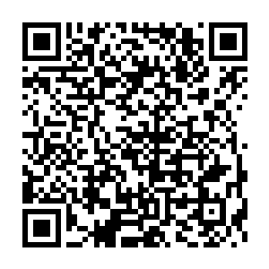 在龙威面前那只大乌龟如同一只温顺的海底小绵羊一般一动也不敢动二维码生成