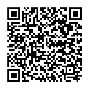 在mafia中混迹多年却仍然是衣服清爽模样的短发青年用略带歉意的语气说道二维码生成