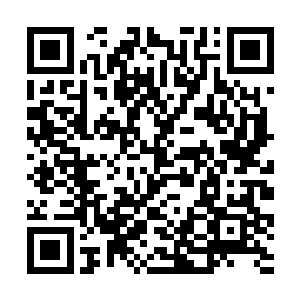 地下突然冒出无数的古藤把刀敏夏雨等人全部束缚了二维码生成