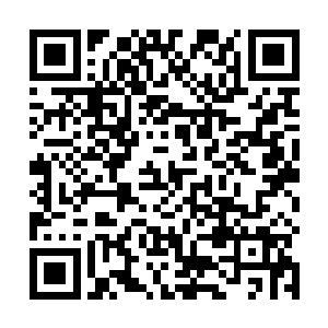 地位崇高的卡洛欣肯定长期在众多护卫保护下安全施法二维码生成