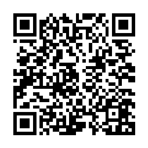 地势顿时豁然开朗了……出现在秦方面前的是一片巨大的水涧二维码生成